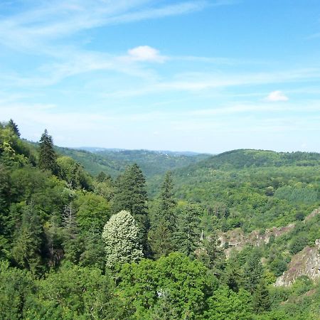 L'Hostellerie De La Vallee Gimel-les-Cascades Экстерьер фото